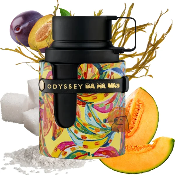 ODYSSEY BA HA MAS